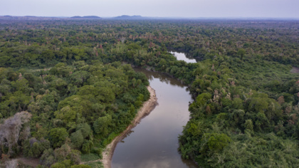 World leaders urged to safeguard wetlands at COP30