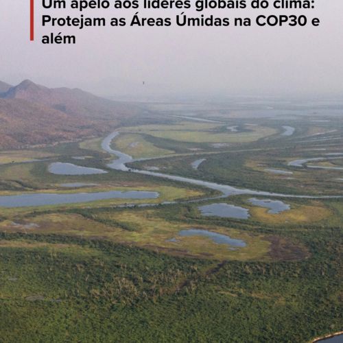 Um apelo aos líderes globais do clima: Protejam as Áreas Úmidas na COP30 e além