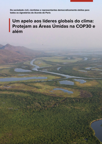 Um apelo aos líderes globais do clima: Protejam as Áreas Úmidas na COP30 e além