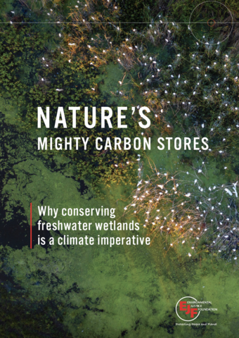 Nature's mighty carbon stores: why conserving freshwater wetlands is a climate imperative
