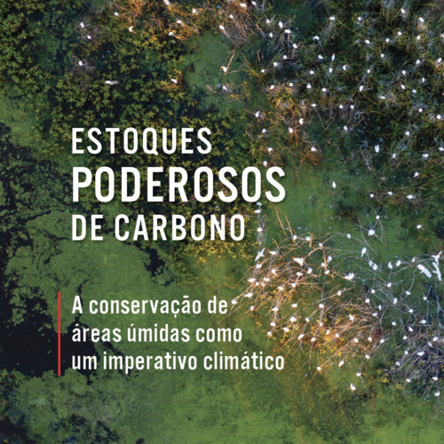 Estoques poderosos de carbono: A conservação de áreas úmidas como um imperativo climático