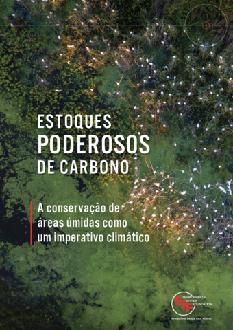 Estoques poderosos de carbono: A conservação de áreas úmidas como um imperativo climático