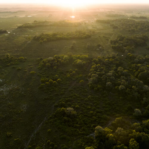Les zones humides d'eau douce : héros climatiques méconnus de la planète sont en train de disparaître, met en garde un nouveau rapport