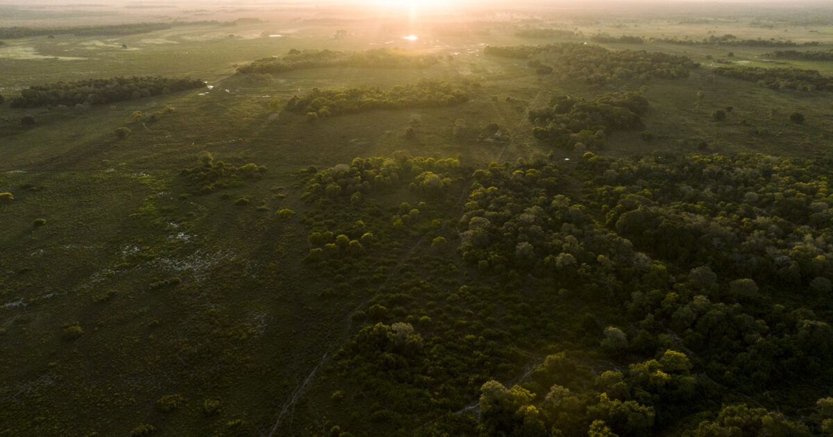 Humedales de agua dulce: héroes climáticos olvidados del mundo están desapareciendo, advierte un nuevo informe – Environmental Justice Foundation