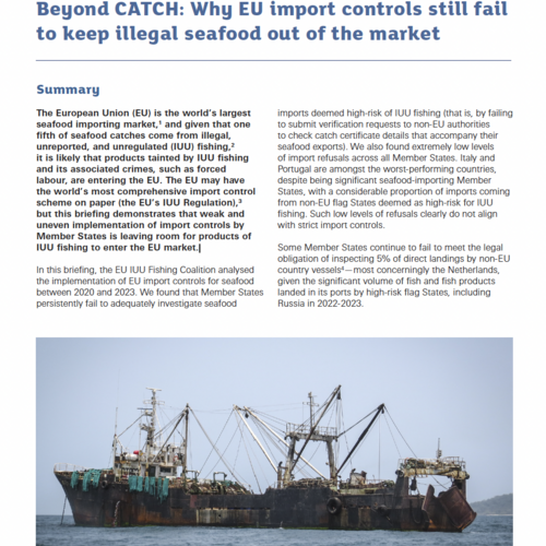 Beyond CATCH: Why EU import controls still fail to keep illegal seafood out of the market