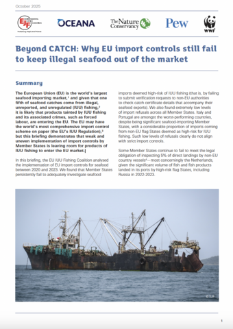 Beyond CATCH: Why EU import controls still fail to keep illegal seafood out of the market