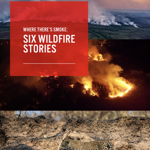 Where there's smoke: six wildfire stories