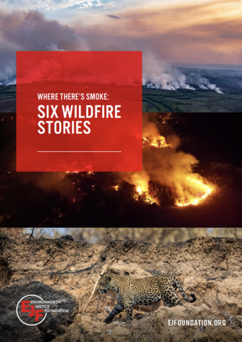 Where there's smoke: six wildfire stories