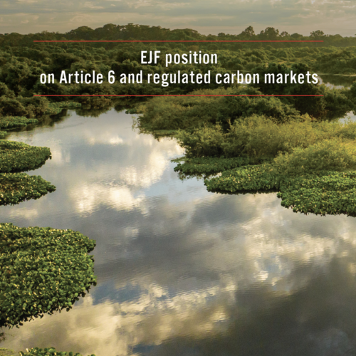 EJF position on Article 6 and regulated carbon markets