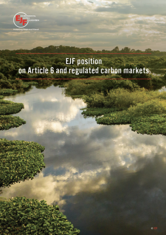 EJF position on Article 6 and regulated carbon markets