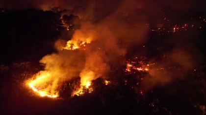 EJF shares stories of the global wildfire crisis as COP30 continues in Brazil