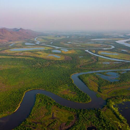 COP30: EJF calls for urgent global action to protect wetlands - Earth’s carbon vaults