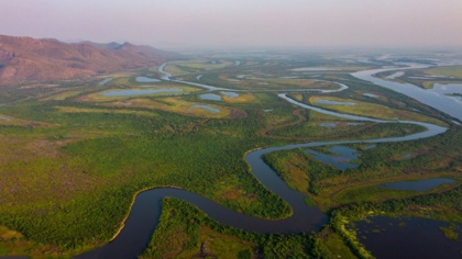 COP30: EJF calls for urgent global action to protect wetlands - Earth’s carbon vaults
