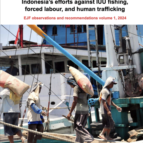 Indonesia’s efforts against IUU fishing, forced labour, and human trafficking - EJF observations and recommendations volume 1, 2024