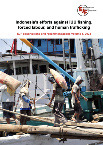 Indonesia’s efforts against IUU fishing, forced labour, and human trafficking - EJF observations and recommendations volume 1, 2024