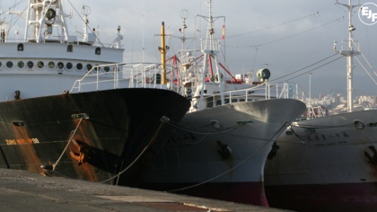 Fish worth £4m seized in EU crackdown on illegal fishing