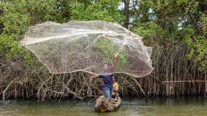 Beneath the Canopy: New film reveals the power of mangrove restoration in Ghana