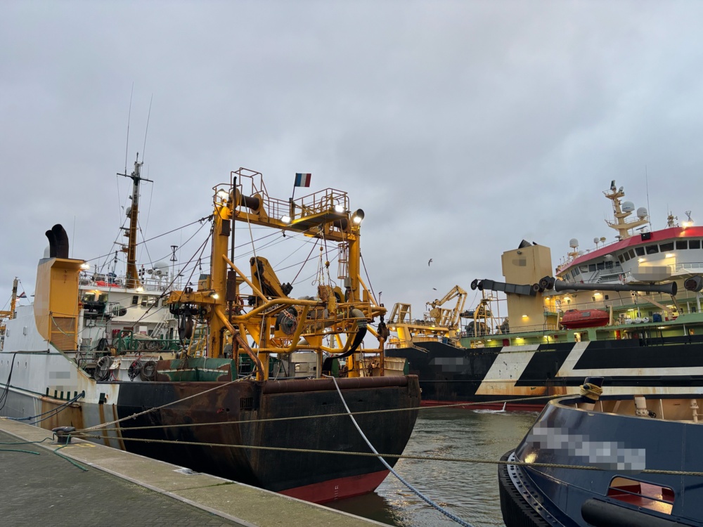 E521d749 eb83 4efe 81cf 562fb9bb333d