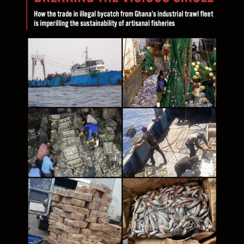 Breaking the vicious circle: How the trade in illegal bycatch from Ghana’s industrial trawl fleet is imperilling the sustainability of artisanal fisheries