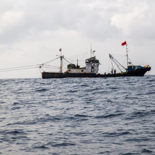 Breaking the vicious circle: urgent action needed to safeguard Ghana’s fisheries