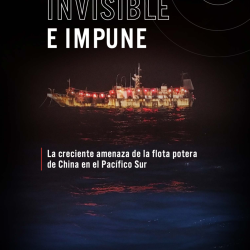 Invisible e impune: La creciente amenaza de la flota calamarera de China en el Pacífico Sur