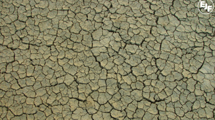 Climate Alert: March 2012