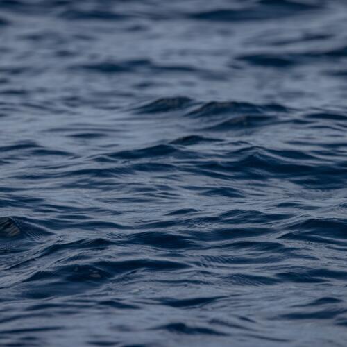 EJF Response to PFA Comments in Fishing Daily and Undercurrent