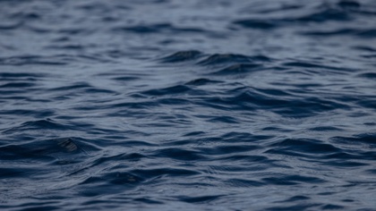 EJF Response to PFA Comments in Fishing Daily and Undercurrent