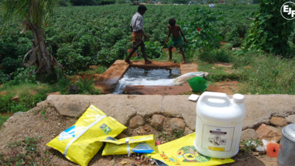 More Endosulfan victims in India