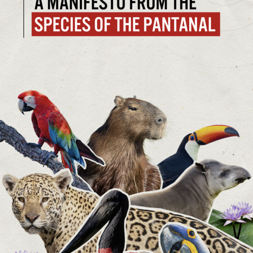 A Manifesto from the Species of the Pantanal
