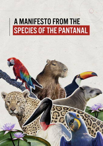 A Manifesto from the Species of the Pantanal