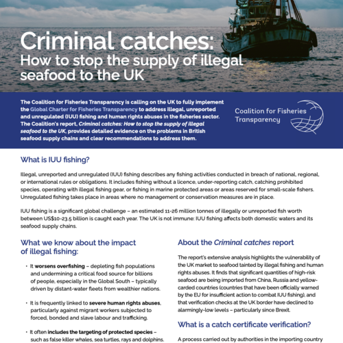 Criminal catches: How to stop the supply of illegal seafood to the UK - Report Summary
