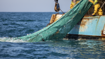 EU FISHERIES POLICY FIT FOR PURPOSE, BUT URGENTLY NEEDS FULL IMPLEMENTATION, SAYS EJF