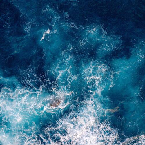 La France impulse une avancée majeure pour la transparence des pêches au G7