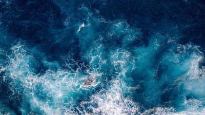 La France impulse une avancée majeure pour la transparence des pêches au G7