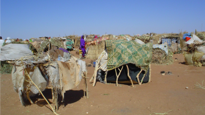 Security Council under fire over climate change