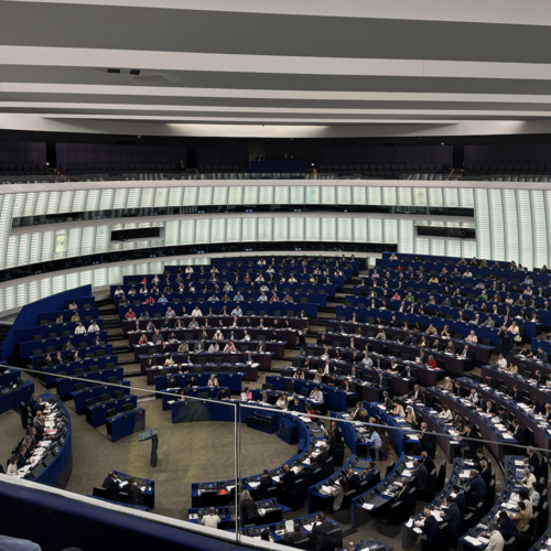 “Political will alone won’t save the Baltic Sea”: EJF urges urgent action after European Parliament vote