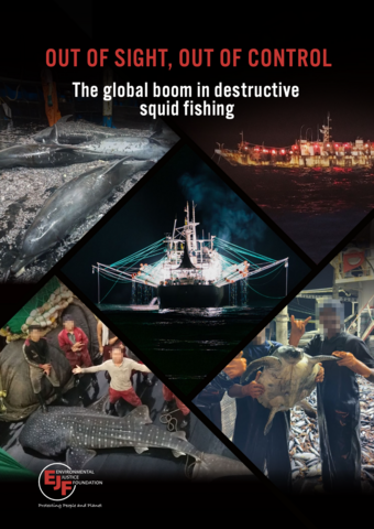 OUT OF SIGHT, OUT OF CONTROL: The global boom in destructive squid fishing
