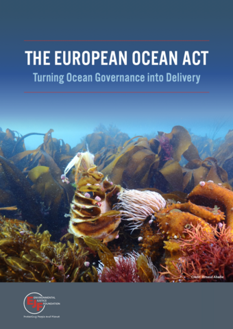 The European Ocean Act: Turning Ocean Governance into Delivery
