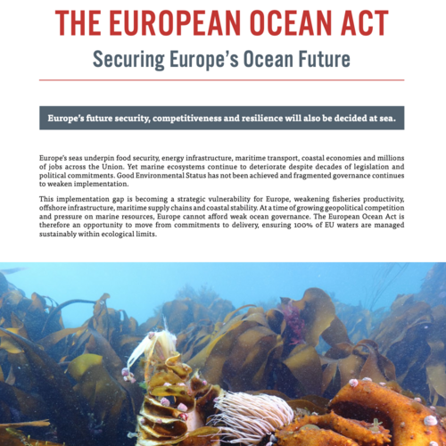 The European Ocean Act: Securing Europe’s Ocean Future