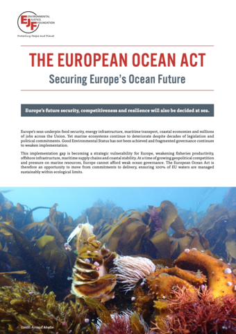 The European Ocean Act: Securing Europe’s Ocean Future