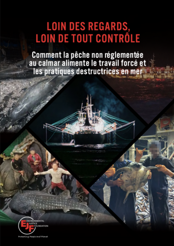 LOIN DES REGARDS, LOIN DE TOUT CONTRÔLE: Comment la pêche non réglementée au calmar alimente le travail forcé et les pratiques destructrices en mer