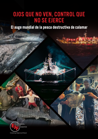 OJOS QUE NO VEN, CONTROL QUE NO SE EJERCE: El auge mundial de la pesca destructiva de calamar