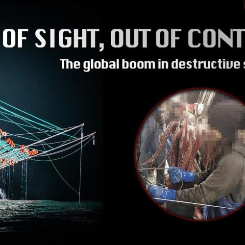 Out of Sight, Out of Control: The global boom in destructive squid fishing