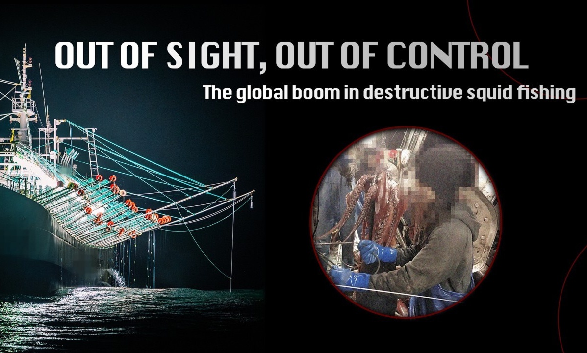 Out of Sight, Out of Control: The global boom in destructive squid fishing