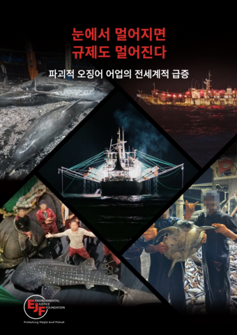 눈에서 멀어지면 규제도 멀어진다: 파괴적 오징어 어업의 전세계적 급증
