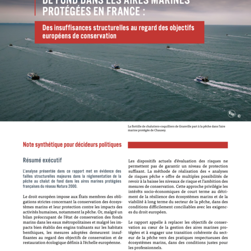 La réglementation du chalutage de fond dans les aires marines protégées en France : Des insuffisances structurelles au regard des objectifs européens de conservation