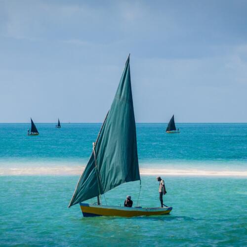 Sixteen countries adopt Mombasa Declaration to advance fisheries transparency and combat illegal fishing