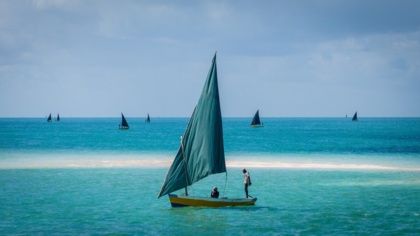 Fifteen countries adopt Mombasa Declaration to advance fisheries transparency and combat illegal fishing
