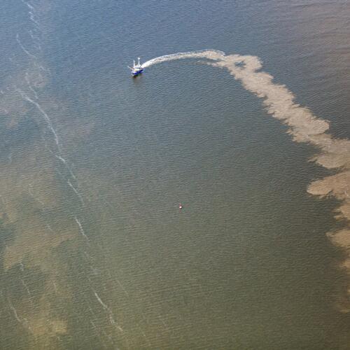Legal action launched against bottom trawling in the German Wadden Sea